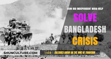 India's Role in Liberating Bangladesh: A Historical Crisis Resolution