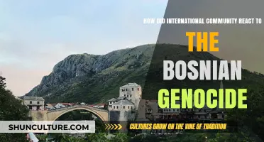 Global Response to the Bosnian Genocide: Reactions and Consequences