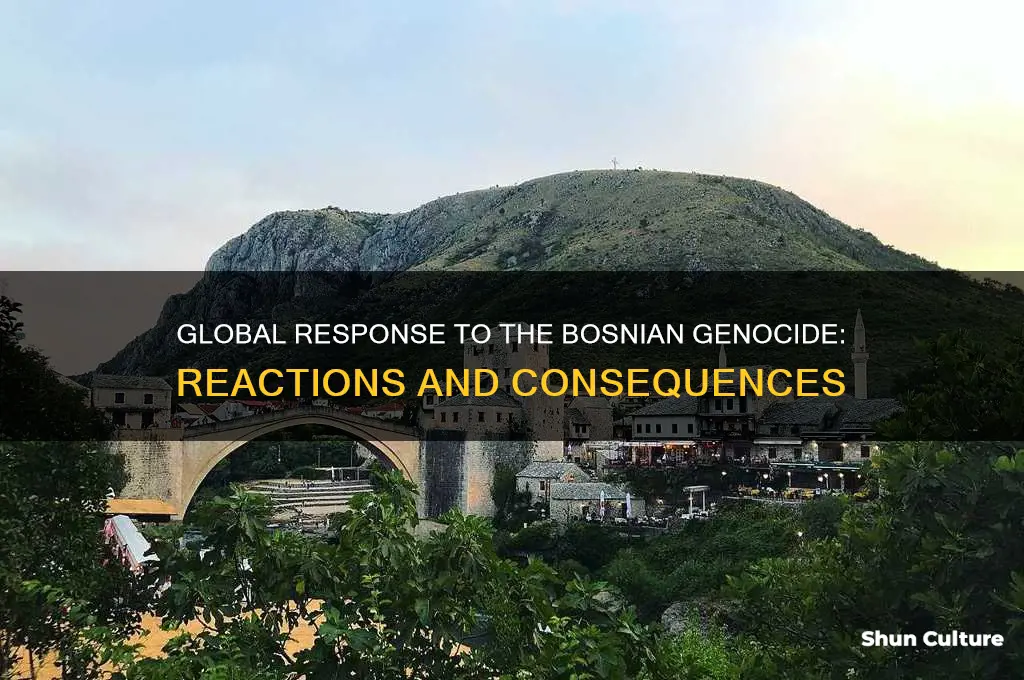 how did international community react to the bosnian genocide