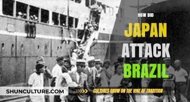 Japan's Covert Attack on Brazil: Unraveling the Little-Known WWII Incident