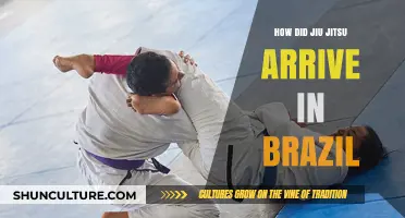 The Journey of Jiu-Jitsu: From Japan to Brazil's Martial Arts Legacy