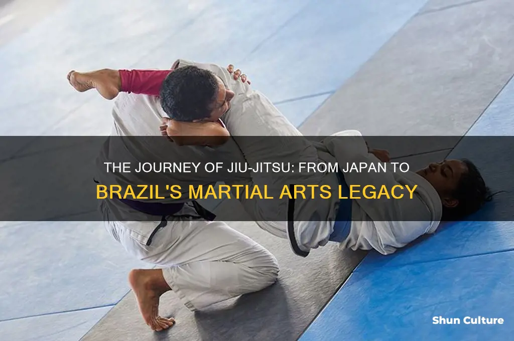 how did jiu jitsu arrive in brazil
