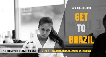 From Japan to Brazil: The Journey of Jiu-Jitsu's Arrival