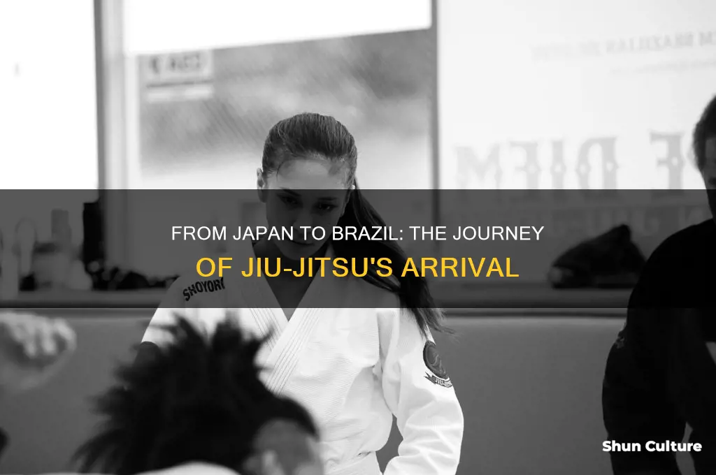 how did jiu jitsu get to brazil