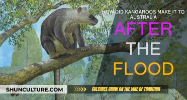 Kangaroos' Journey: Australia Post-Flood