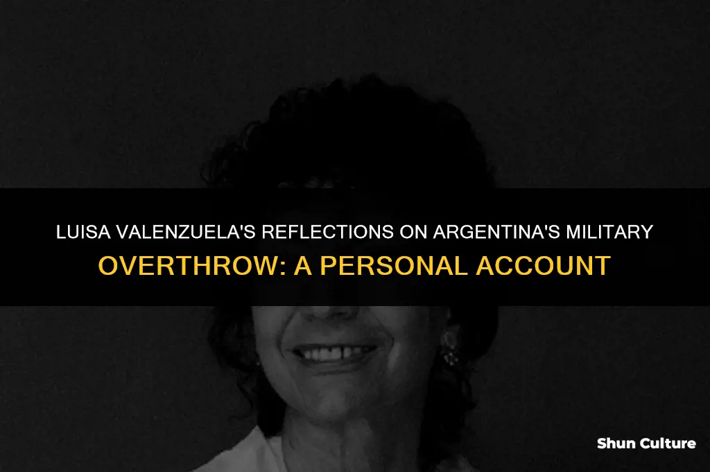 how did luisa valenzuela feel about argentina