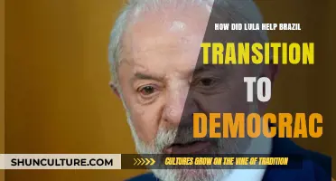 Lula's Leadership: Brazil's Democratic Transition and Social Transformation