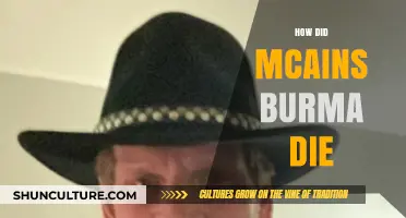 The Tragic Demise of McCain's Burma: A Historical Reflection