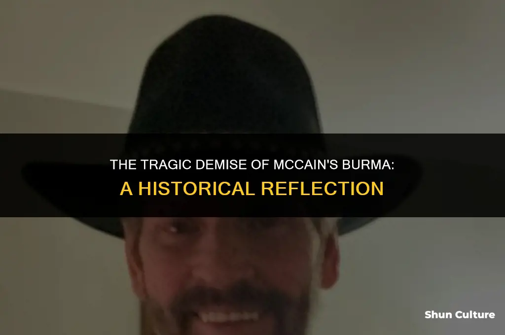 how did mcains burma die