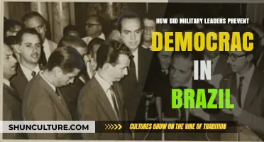 Military Leaders' Strategies to Suppress Democracy in Brazil
