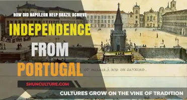 Napoleon's Influence: Brazil's Path to Independence from Portugal