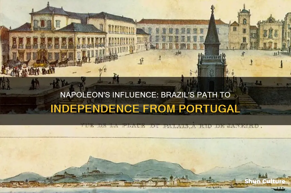 how did napoleon help brazil achieve independence from portugal