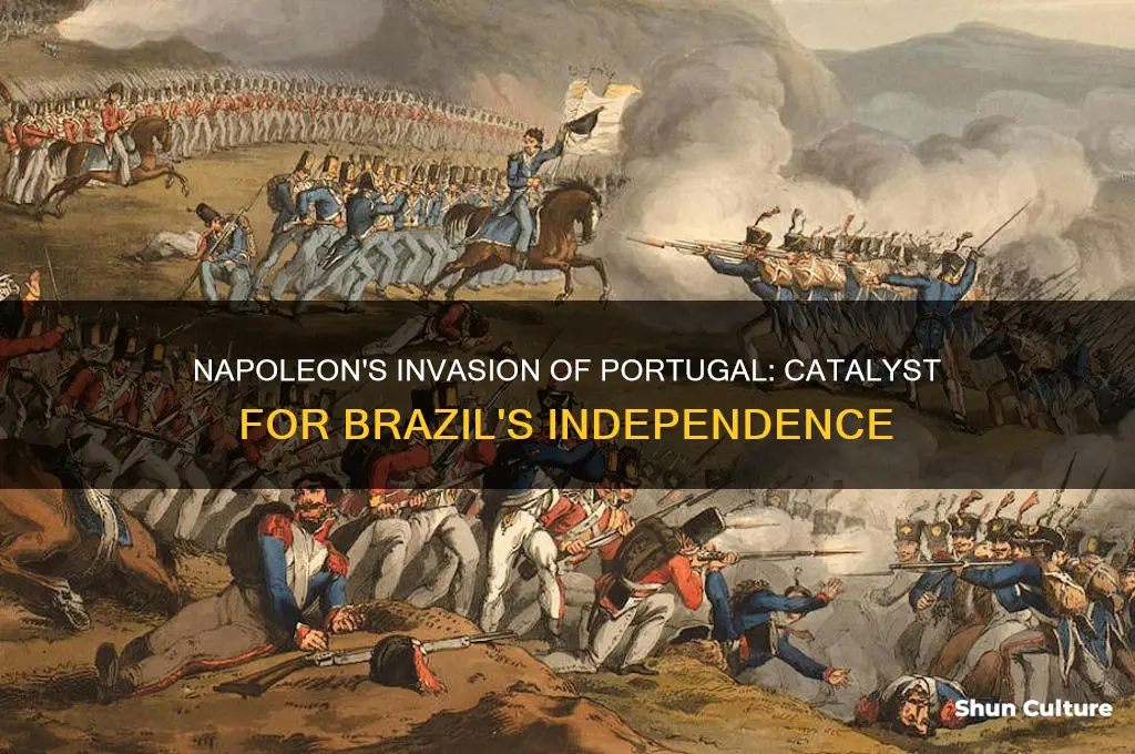 how did napoleon