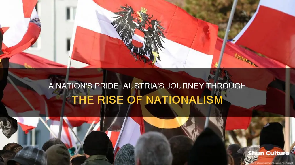 how did nationalism affect austria