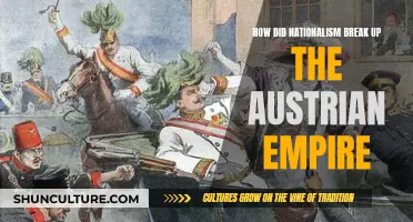 Nationalism's Role in the Fall of the Austrian Empire