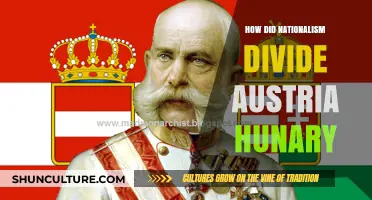 Nationalism's Impact: Austria-Hungary's Unraveling: A Historical Perspective