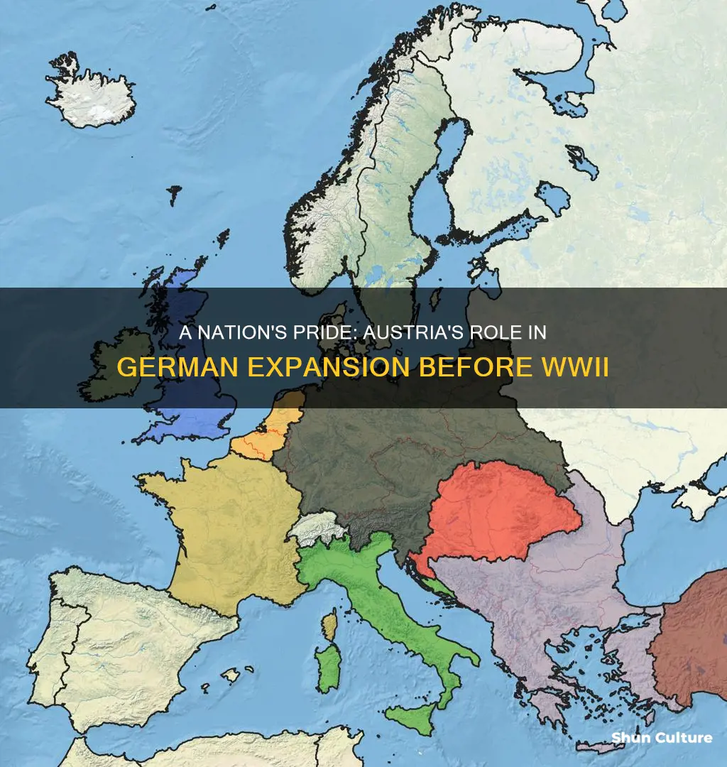 how did nationalism in austria affect german expansion before ww2