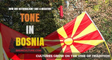 Bosnia's Dark Turn: How Nationalism Fueled Division and Conflict