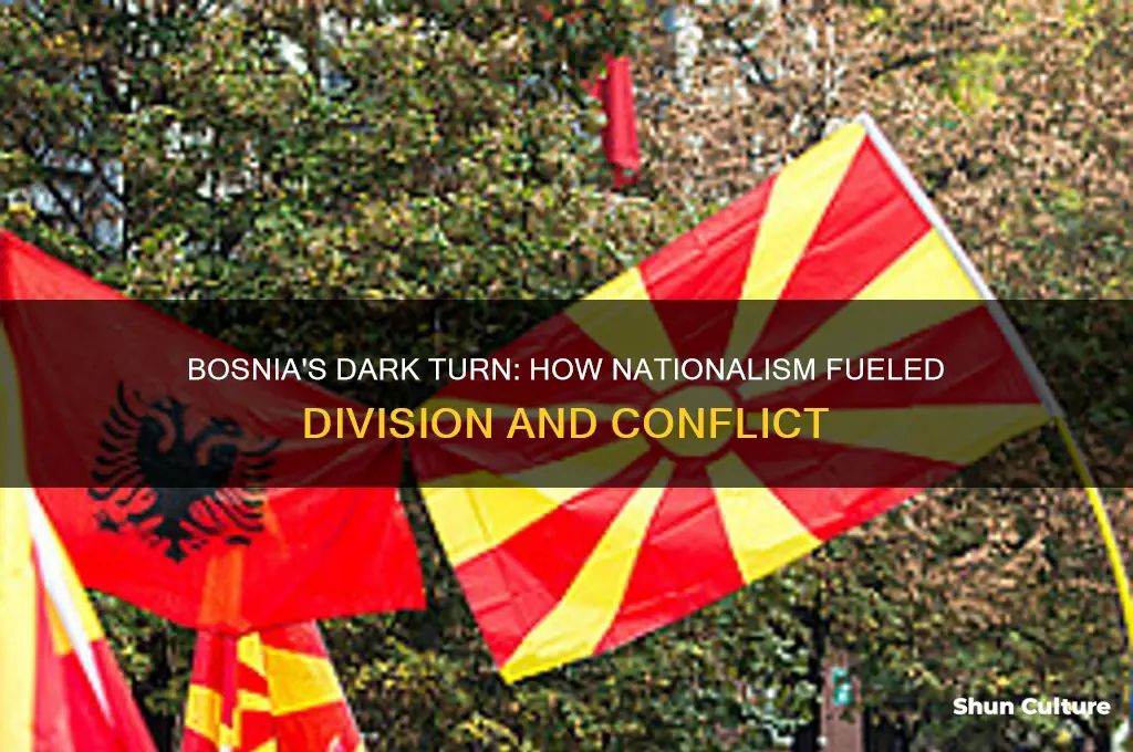 how did nationalism take a negative tone in bosnia