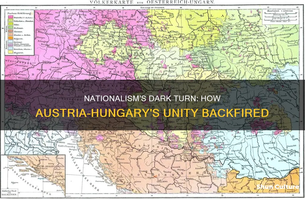 how did nationalism work against the spread of the austria-hungary