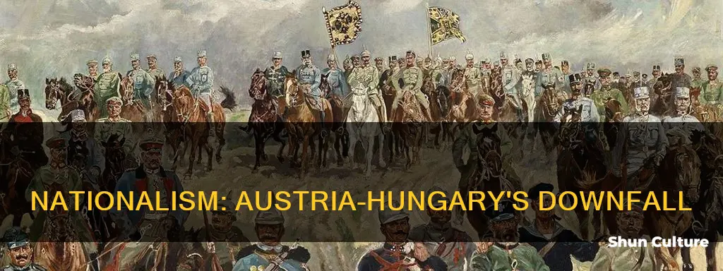 how did nationalism work against the spread of the austria-hungary