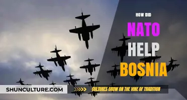 NATO's Role in Restoring Peace and Stability in Bosnia
