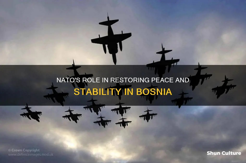 how did nato help bosnia