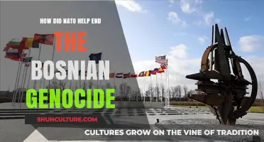 NATO's Role in Ending the Bosnian Genocide: A Turning Point