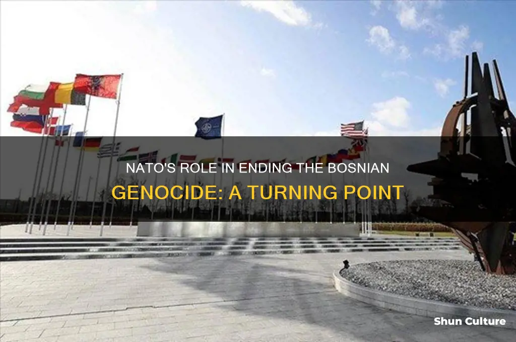 how did nato help end the bosnian genocide