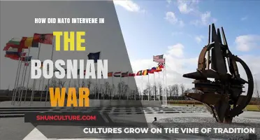 NATO's Role in Ending the Bosnian War: A Comprehensive Analysis