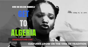 Nelson Mandela's Journey to Algeria: A Path to Freedom and Solidarity