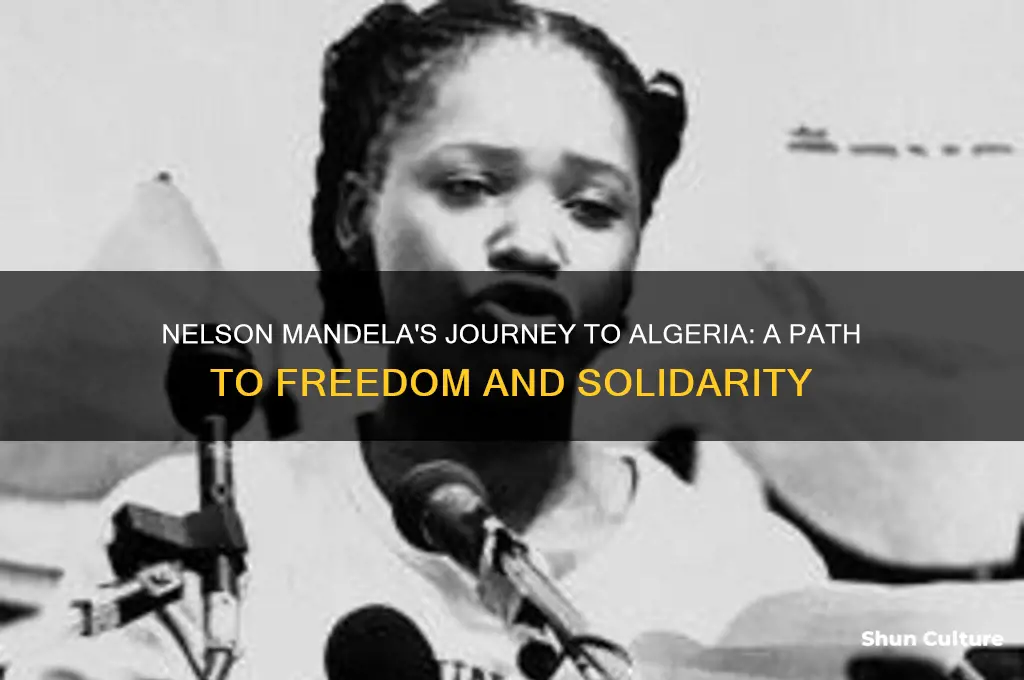 how did nelson mandela get to algeria