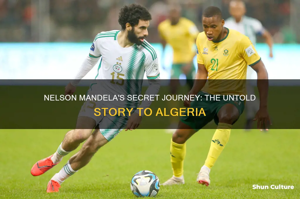 how did nelson mendella get to algeria