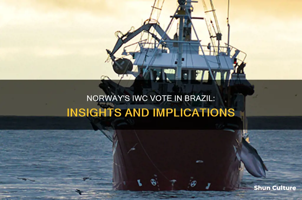 how did norwegians vote at last iwc meeting in brazil