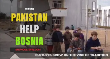 Pakistan's Crucial Support for Bosnia: A Story of Solidarity and Aid