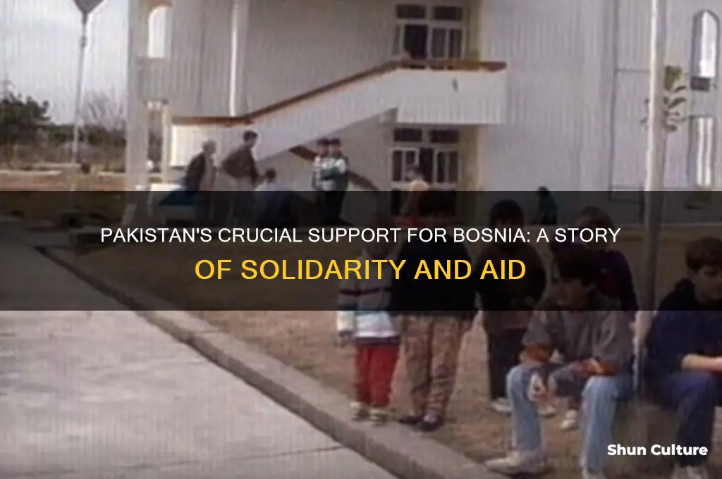 how did pakistan help bosnia