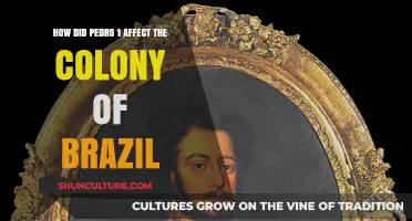 Pedro I's Impact: Shaping Brazil's Colonial Legacy and Independence