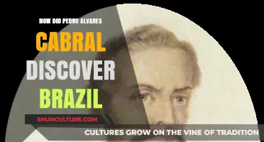 Pedro Álvares Cabral's Voyage: Unraveling Brazil's Accidental Discovery