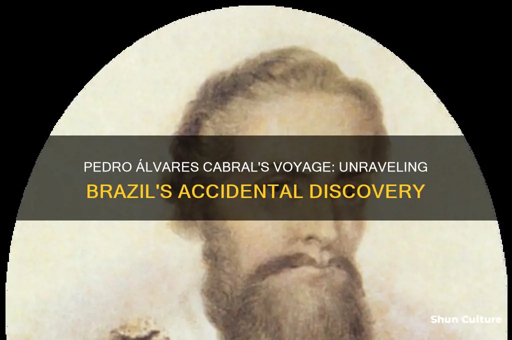 how did pedro alvares cabral discover brazil