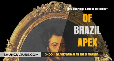Pedro I's Impact on Brazil's Apex: Shaping a Nation's Destiny