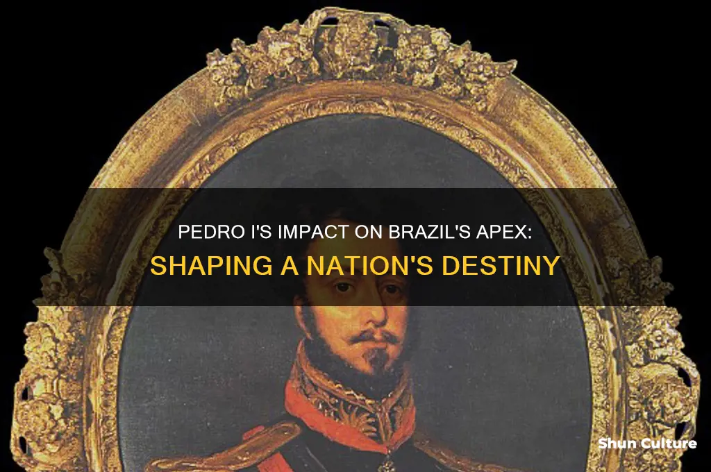 how did pedro I affect the colony of brazil apex