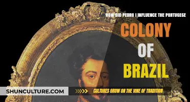 Pedro I's Legacy: Shaping Brazil's Independence and Monarchy