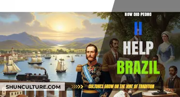 Pedro II's Legacy: Shaping Brazil's Modernization and Unity