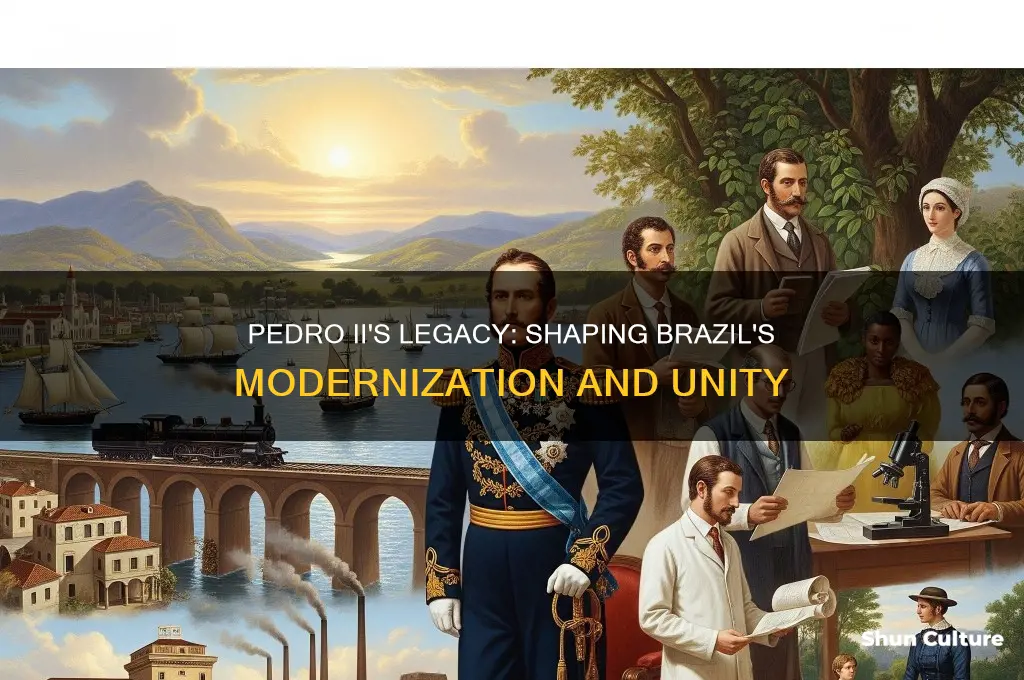 how did pedro ii help brazil