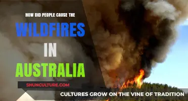 Human-Induced Wildfires: Australia's Catastrophic Blazes