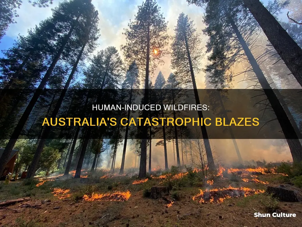how did people cause the wildfires in australia
