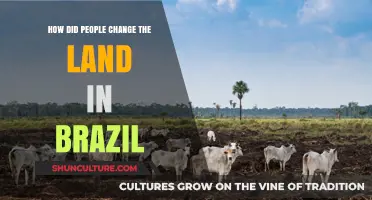 Transforming Brazil's Landscape: Human Impact on the Land Over Time