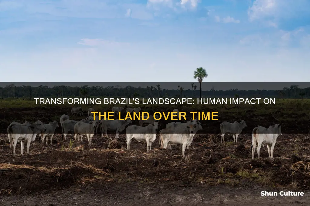 how did people change the land in brazil