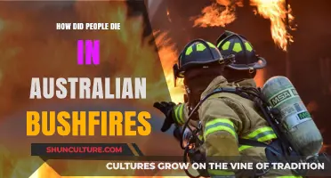Bushfire Hazards: Causes of Death in Australian Wildfires