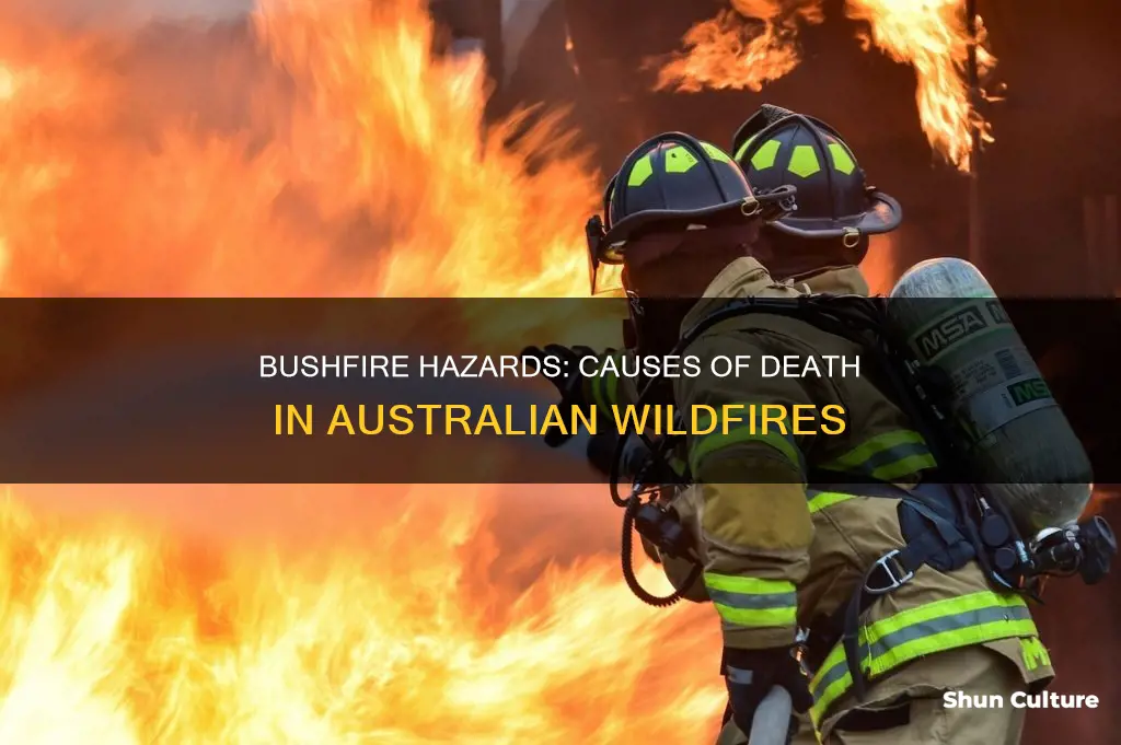 how did people die in australian bushfires